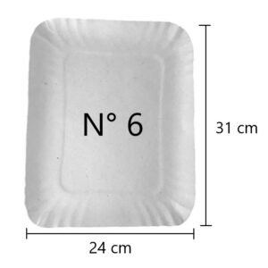 Bandeja cartón nº 6